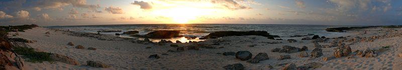 Live Cozumel Live Cozumel