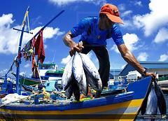 fishing cancun