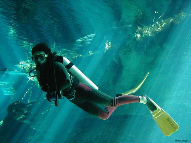 scuba diving playa del carmen